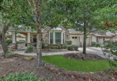 Photo of 43 Douvaine Ct, The Woodlands, TX 77382