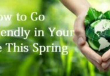Photo of How to Go Eco- Friendly in Your Home This Spring