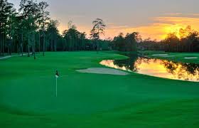 The Woodlands Golf Course Diamond Homes Realty